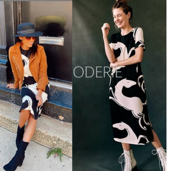 Anthropologie Dresses & Skirts - Anthropologie Corey Lynn Calter Caballos Dress